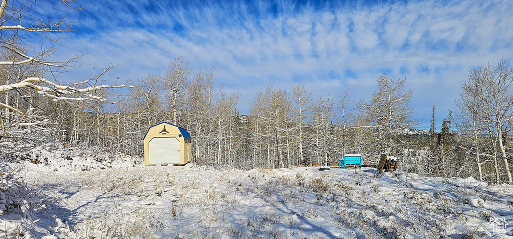 Yard covered in snow with a storage unit