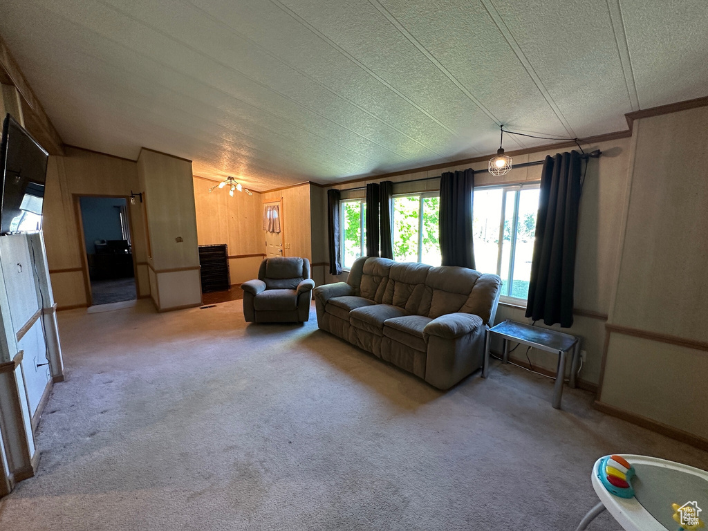 Carpeted living room featuring crown molding