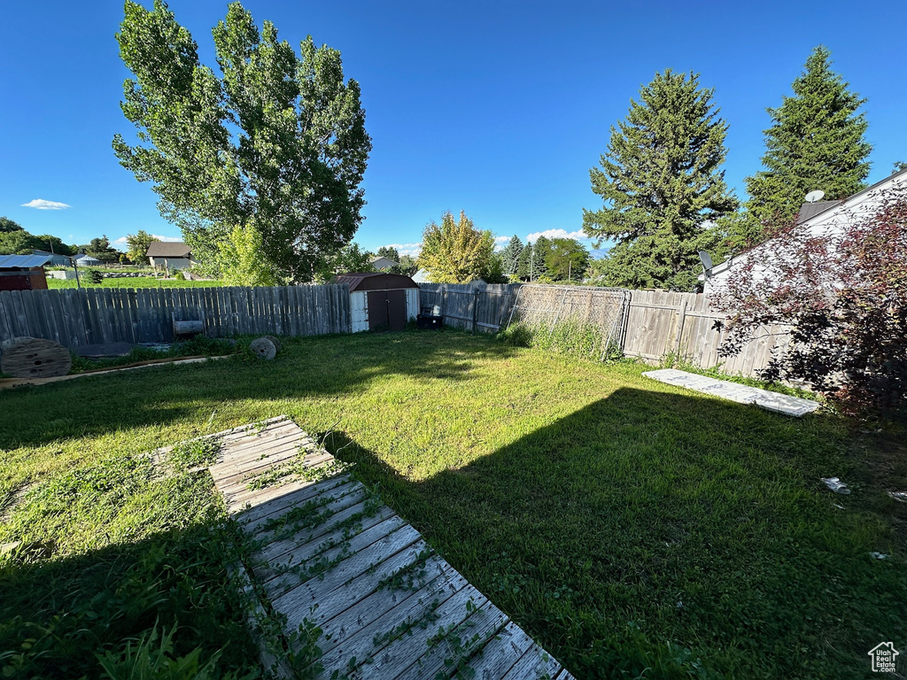 View of yard featuring a storage shed