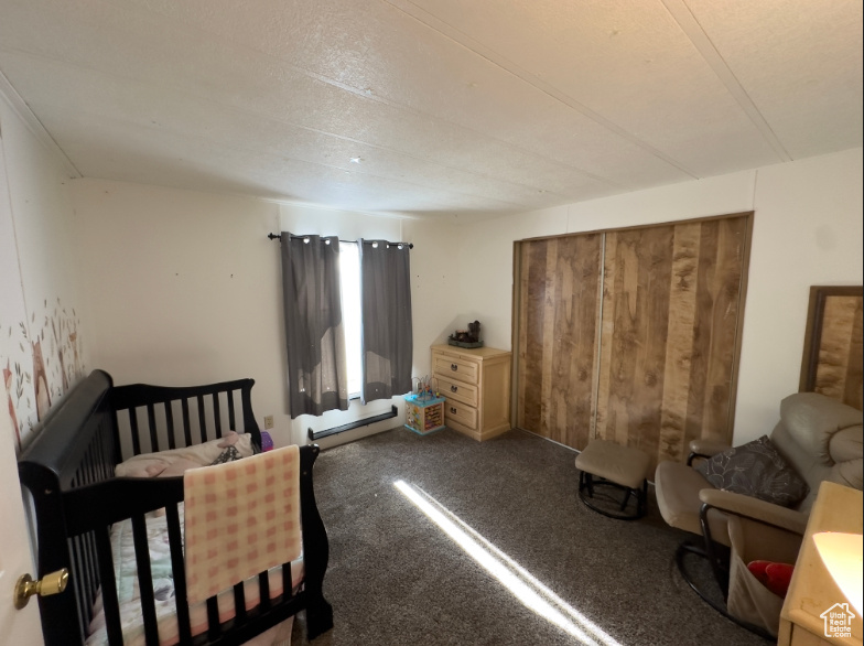 Bedroom with a baseboard radiator, carpet, and a nursery area