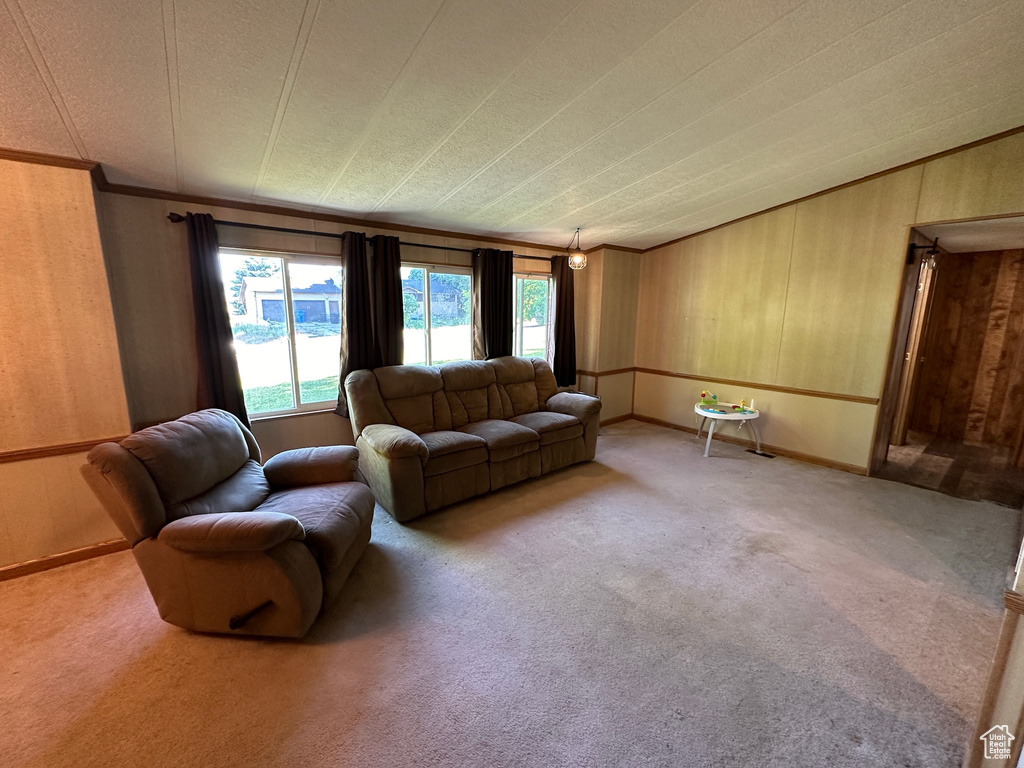 Carpeted living room featuring a healthy amount of sunlight, crown molding, and wood walls