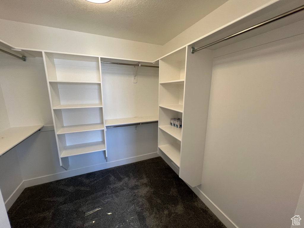 Spacious closet featuring dark colored carpet