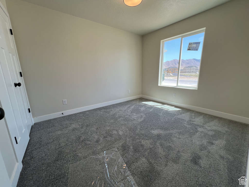 Unfurnished room featuring carpet