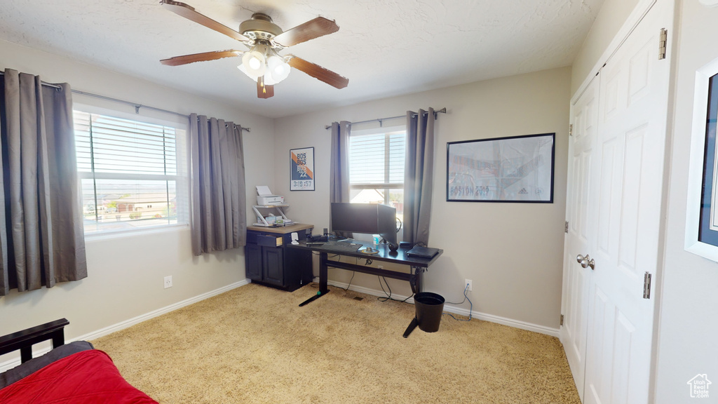 Carpeted office space with ceiling fan