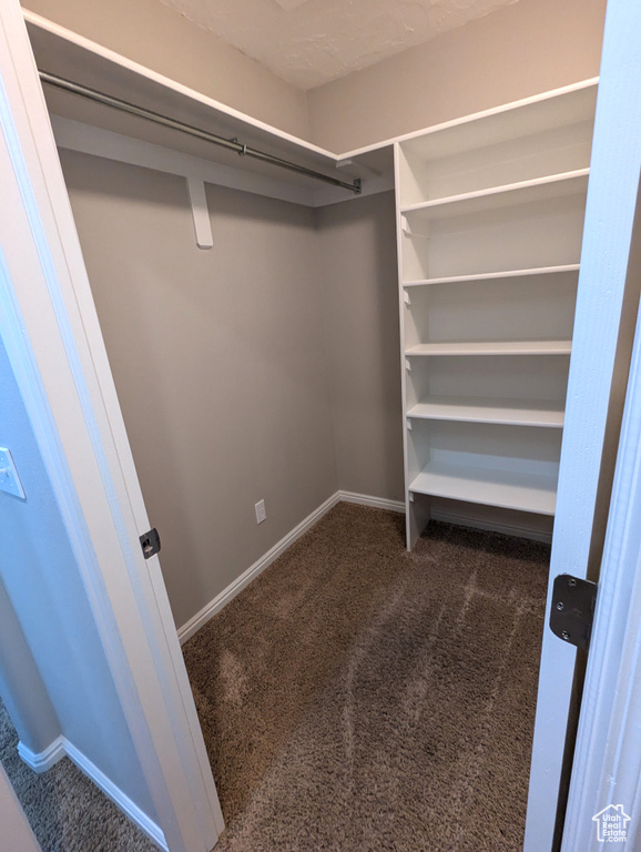 Walk in closet featuring dark carpet