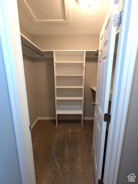 Walk in closet featuring dark carpet