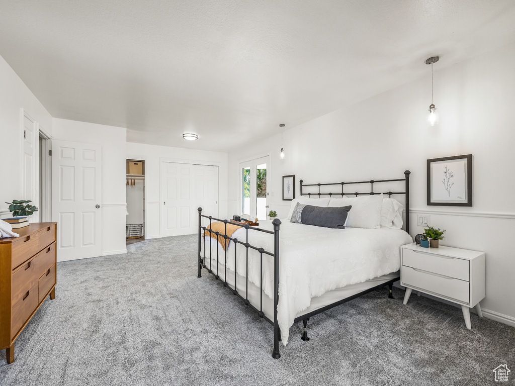 Bedroom with a closet and carpet