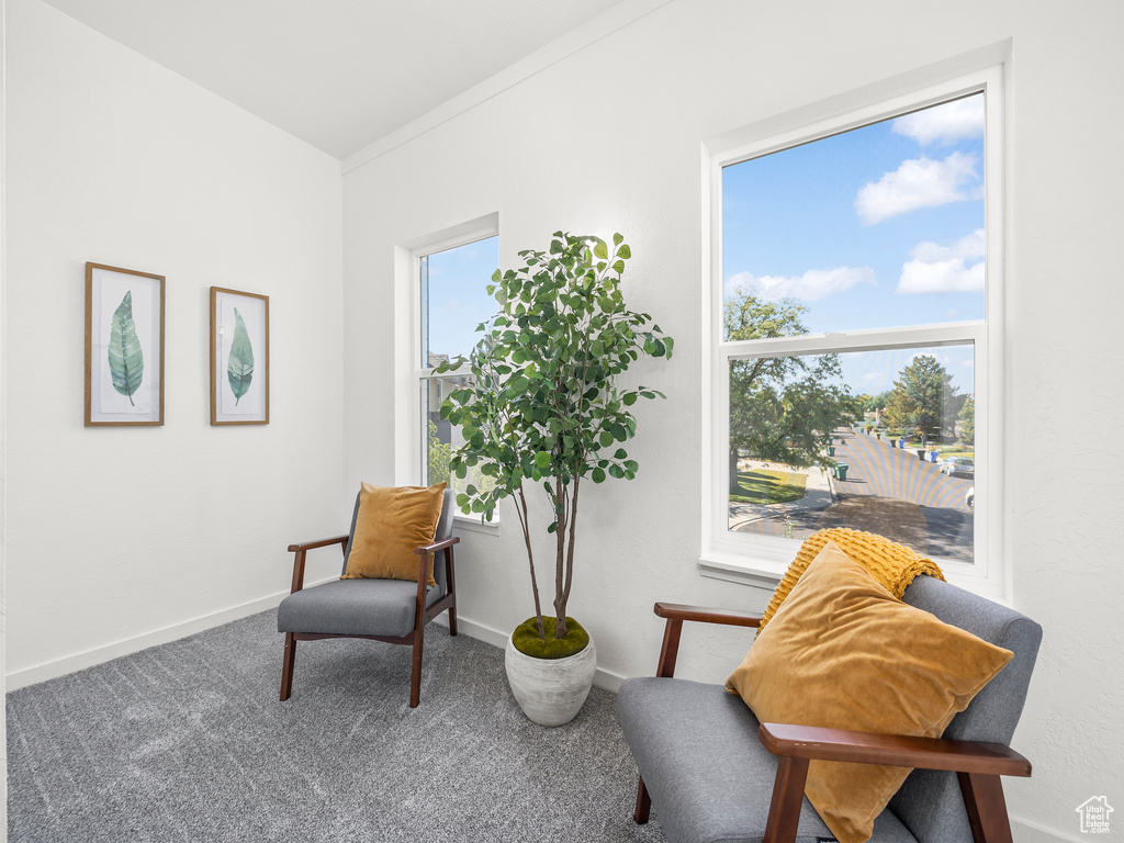 Living area featuring carpet