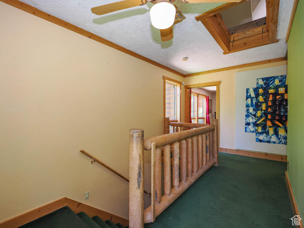 Stairs featuring a textured ceiling, carpet flooring, and ceiling fan