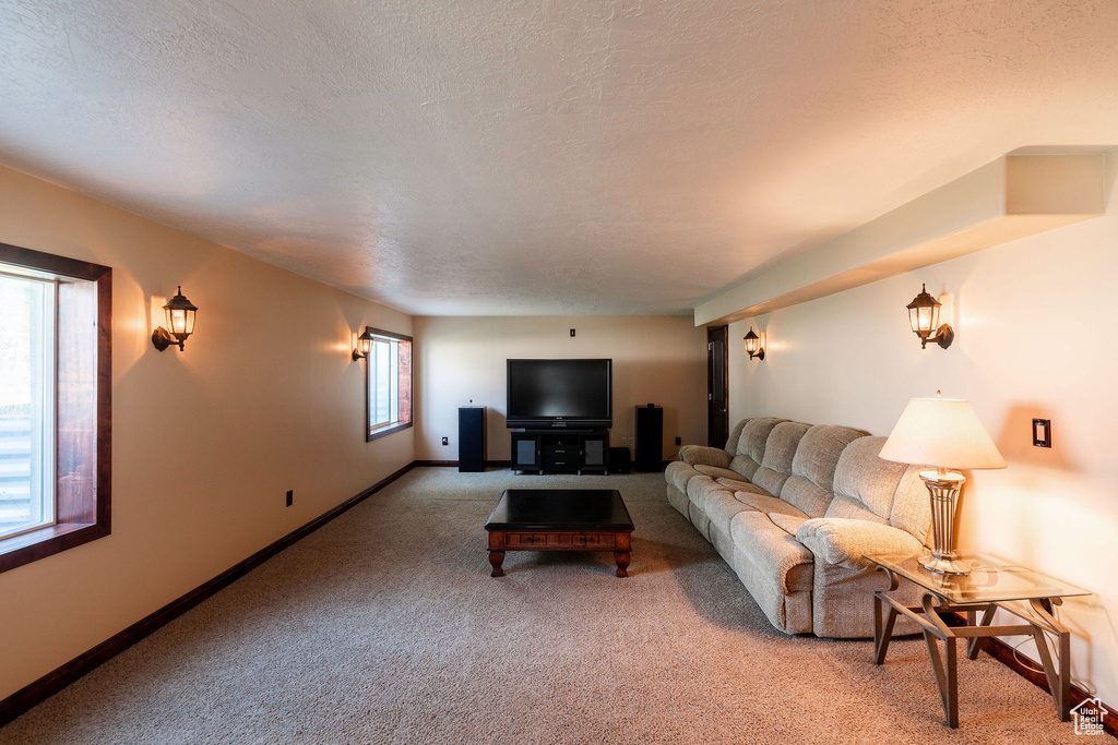 Carpeted living room featuring a textured ceiling