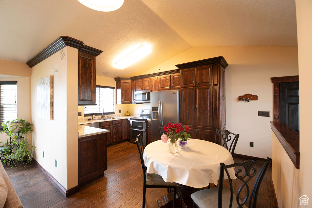 Kitchen featuring stainless steel appliances, lofted ceiling, a wealth of natural light, and dark wood-type flooring