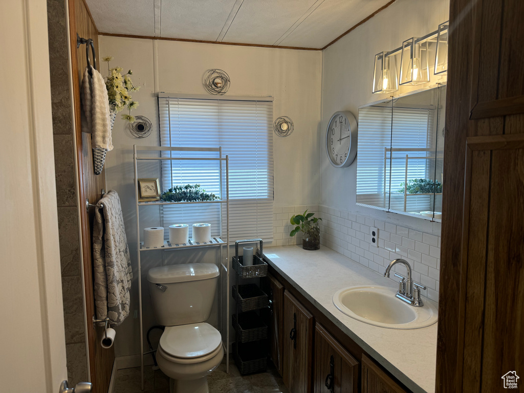 Bathroom with plenty of natural light, toilet, tasteful backsplash, and oversized vanity