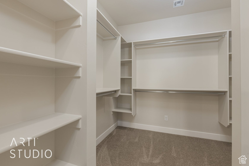 Spacious closet featuring dark carpet