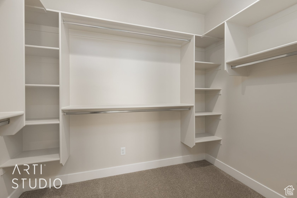 Spacious closet featuring carpet floors