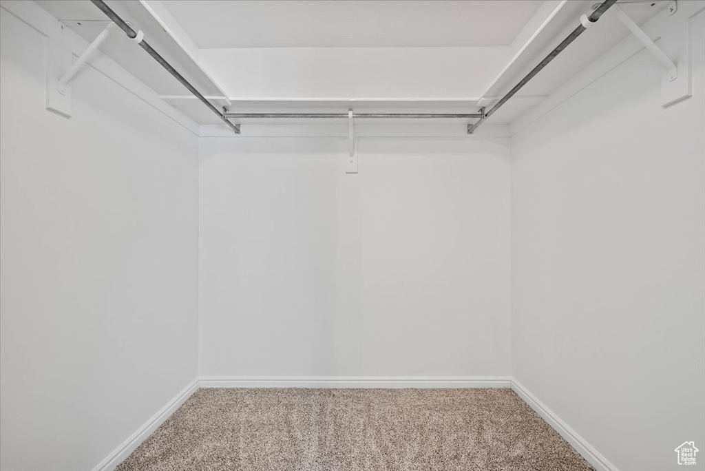 Walk in closet featuring carpet flooring