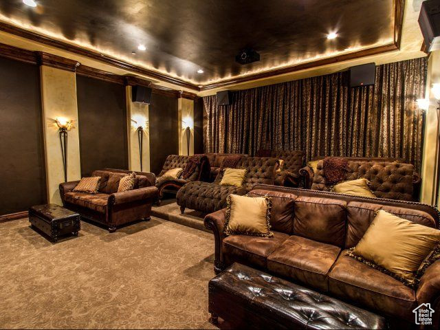 Cinema featuring carpet and a raised ceiling