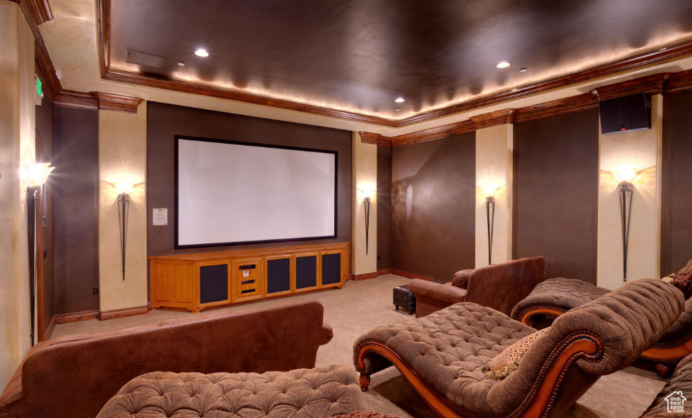 Home theater with carpet, ornamental molding, and a tray ceiling