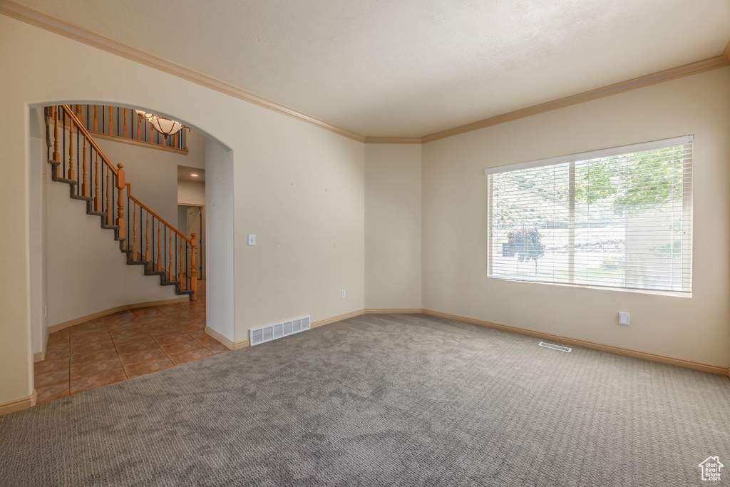 Empty room with ornamental molding and carpet floors