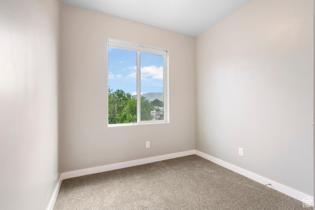 Unfurnished room featuring carpet