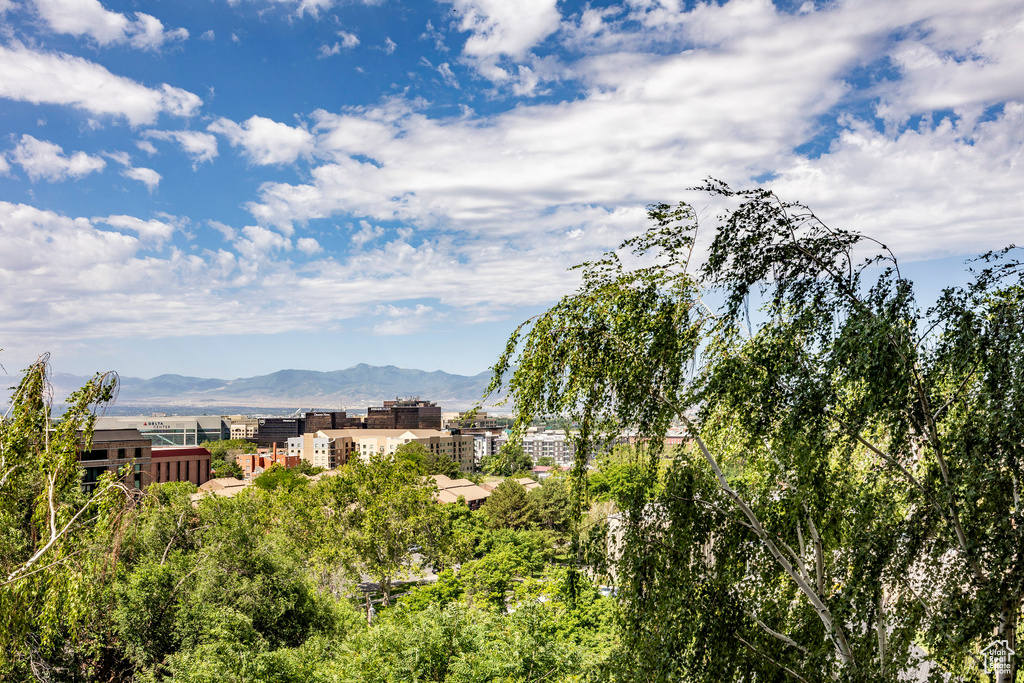 View of mountain view