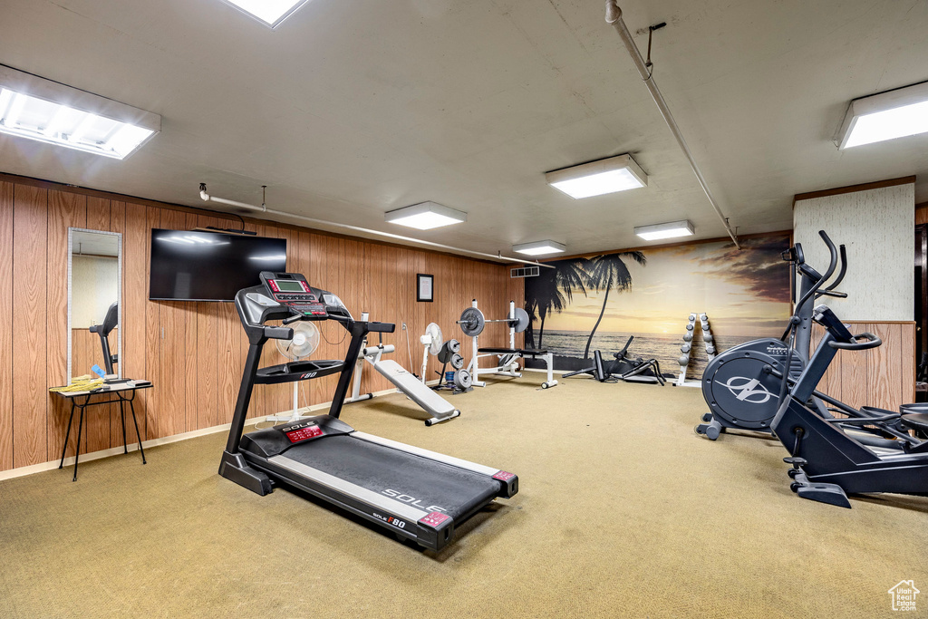 Exercise area featuring carpet floors and wood walls