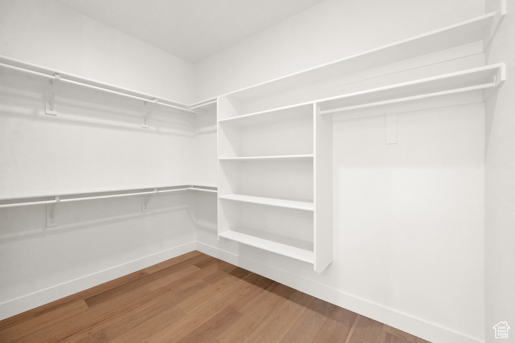 Spacious closet featuring wood-type flooring