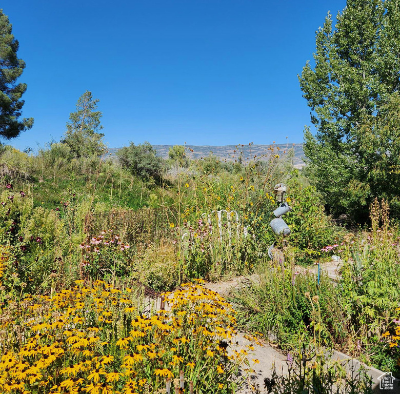 Property view of mountains