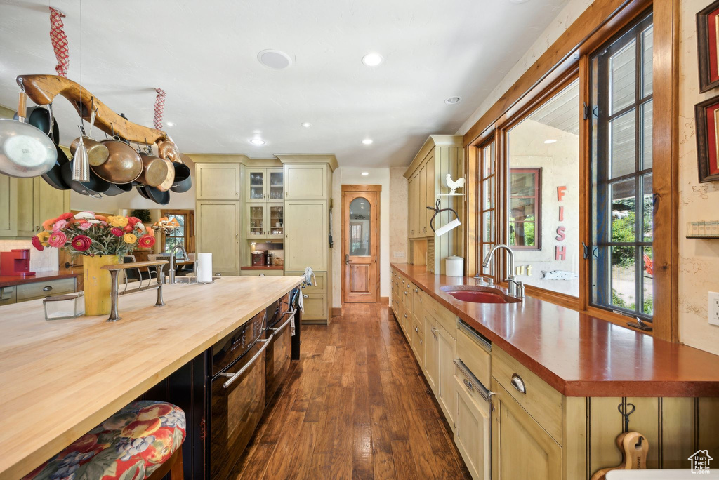 Kitchen with butcher block countertops, sink, and dark wood-type flooring