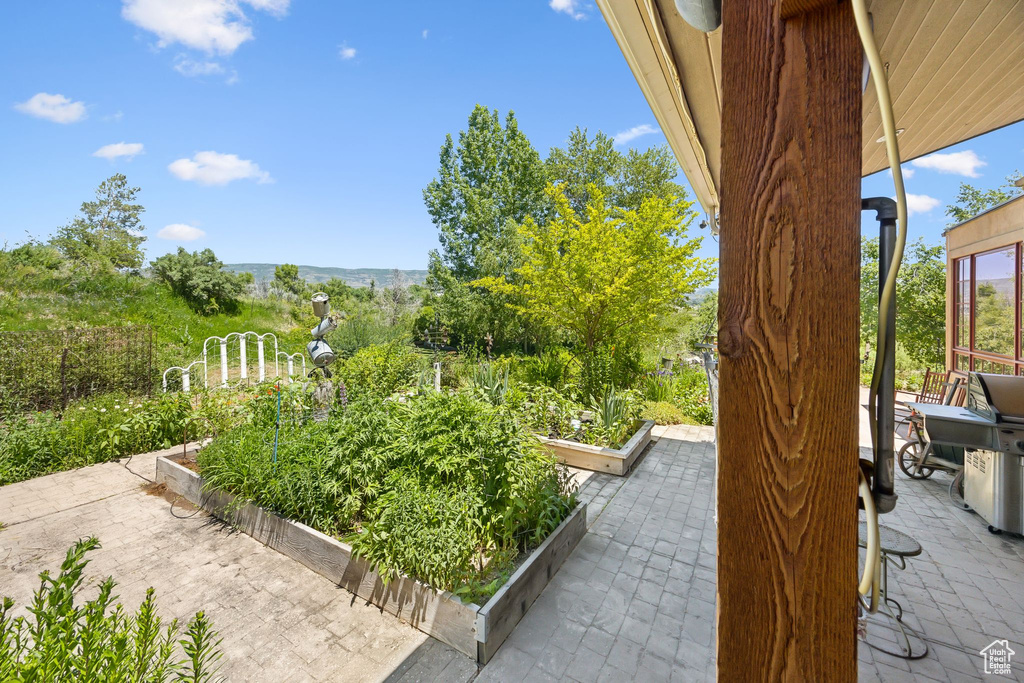 View of patio