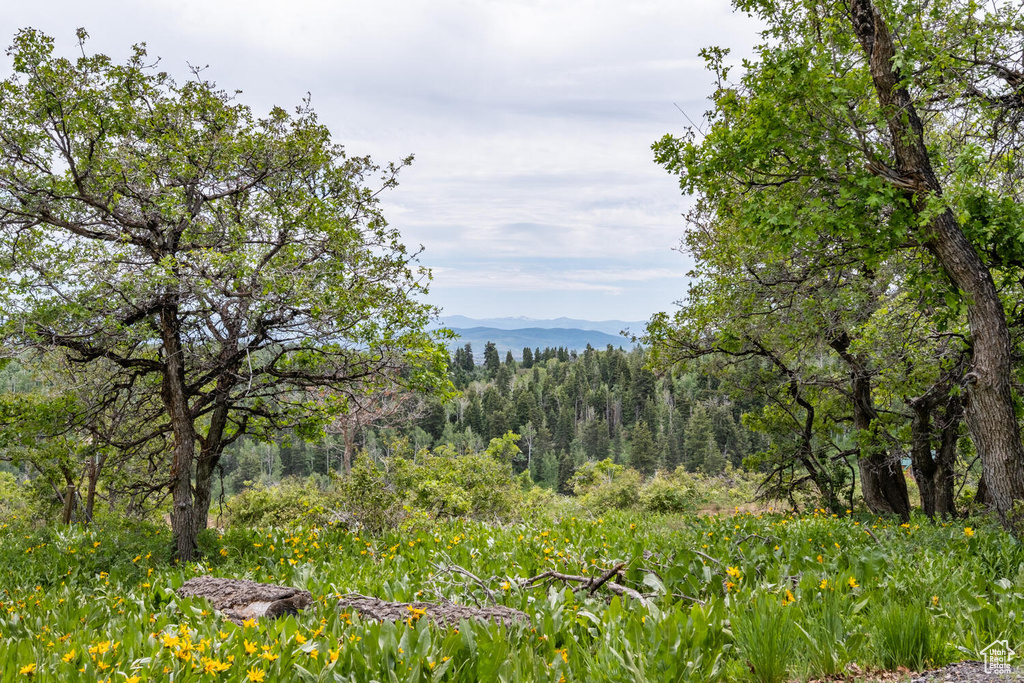 View of mother earth's splendor with a mountain view