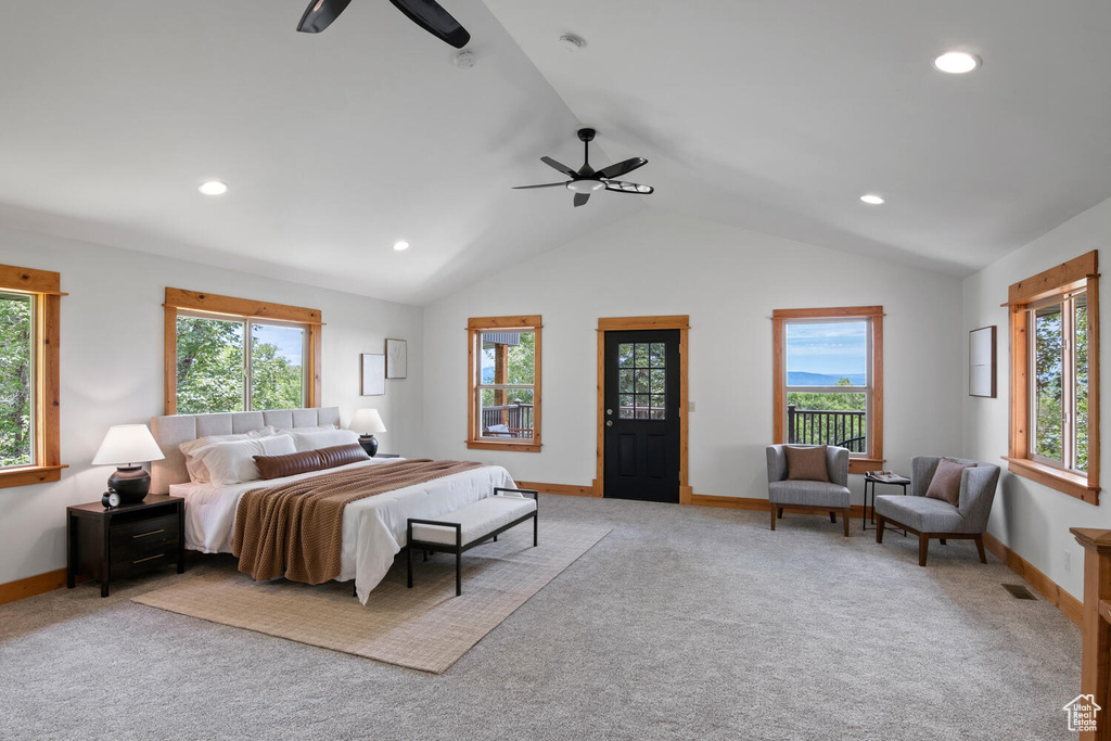 Bedroom featuring multiple windows, carpet floors, and ceiling fan