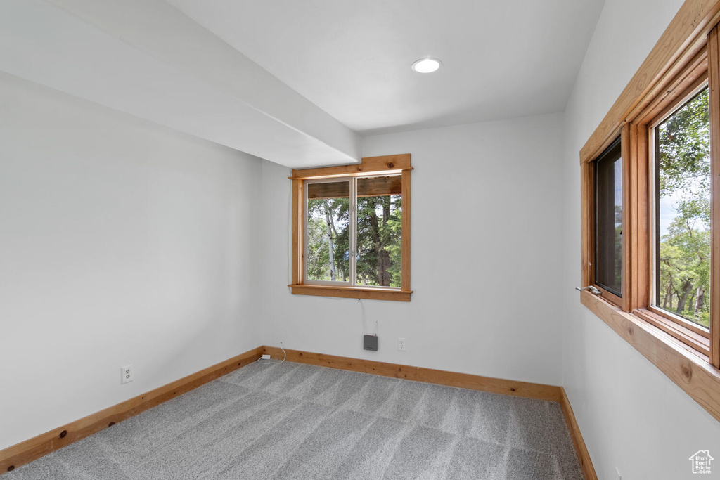 Carpeted spare room with a wealth of natural light