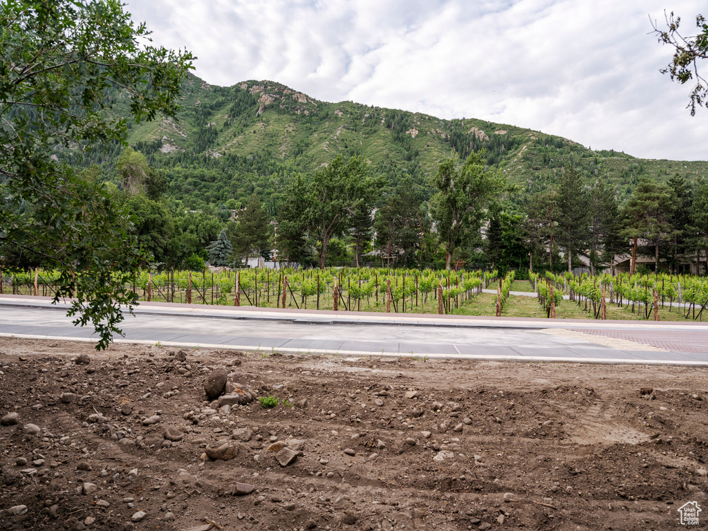 View of mountain feature