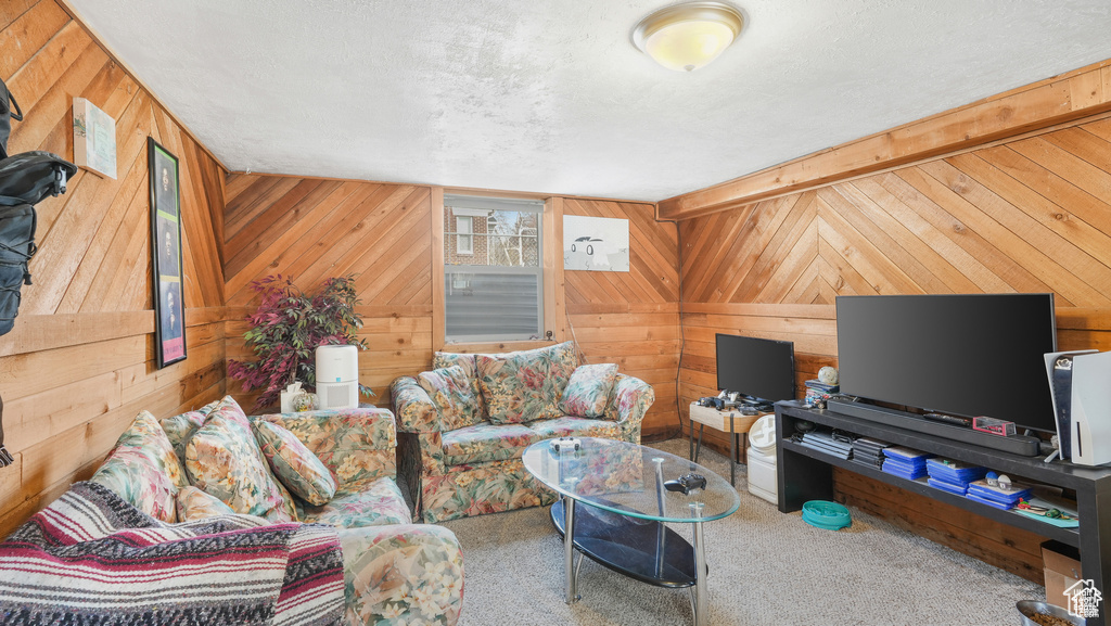 Living room with carpet floors, a textured ceiling, and wooden walls