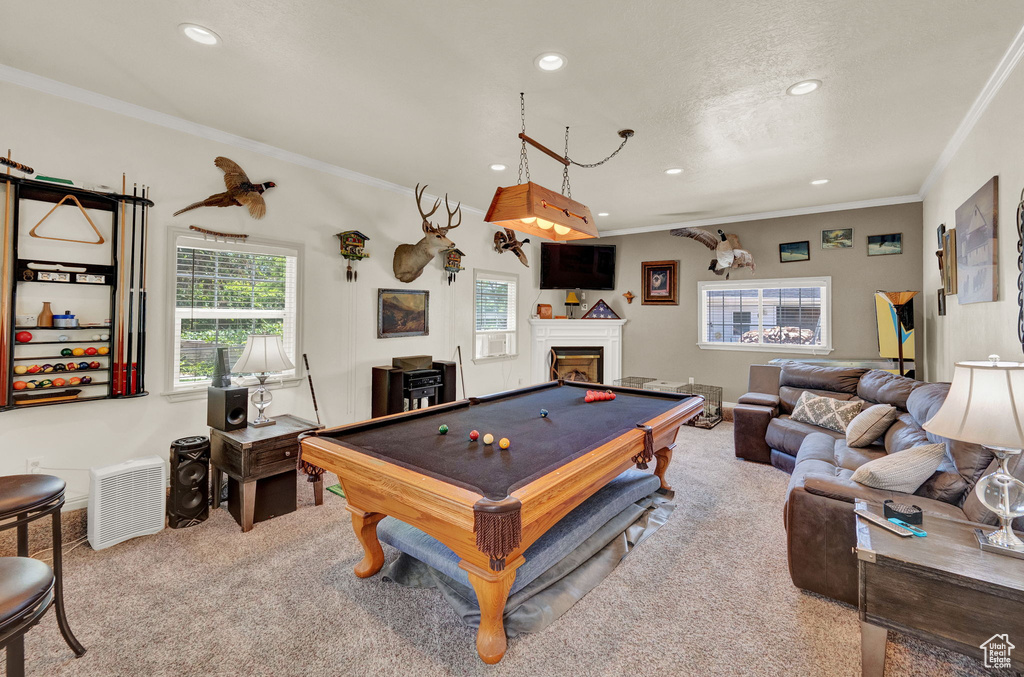 Recreation room featuring carpet flooring, billiards, and crown molding