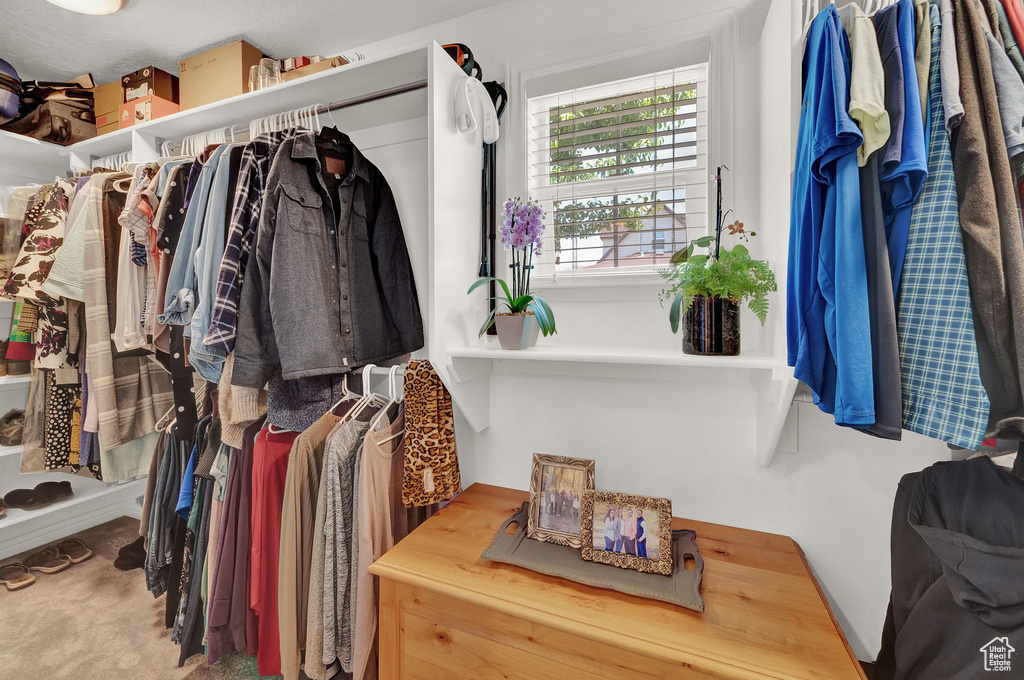 Spacious closet with carpet flooring