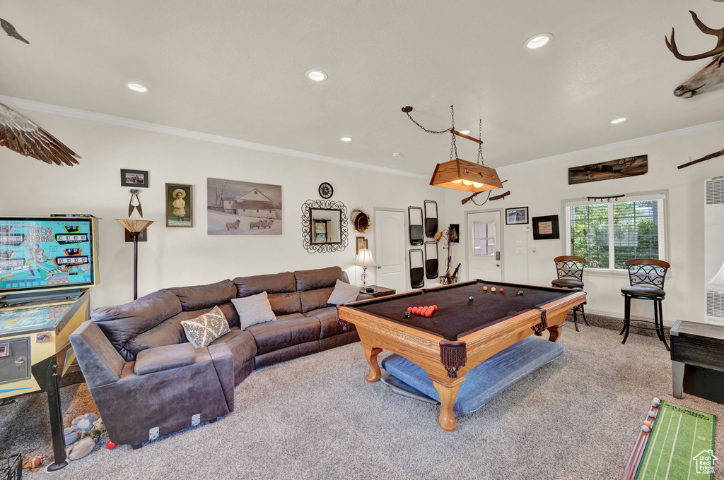 Recreation room featuring crown molding, carpet floors, and pool table