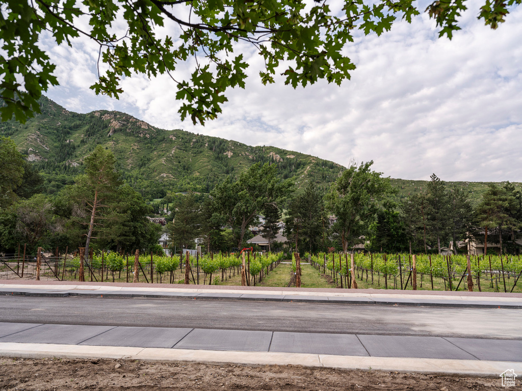 View of mountain feature