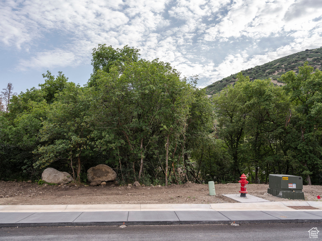 View of property's community featuring a mountain view