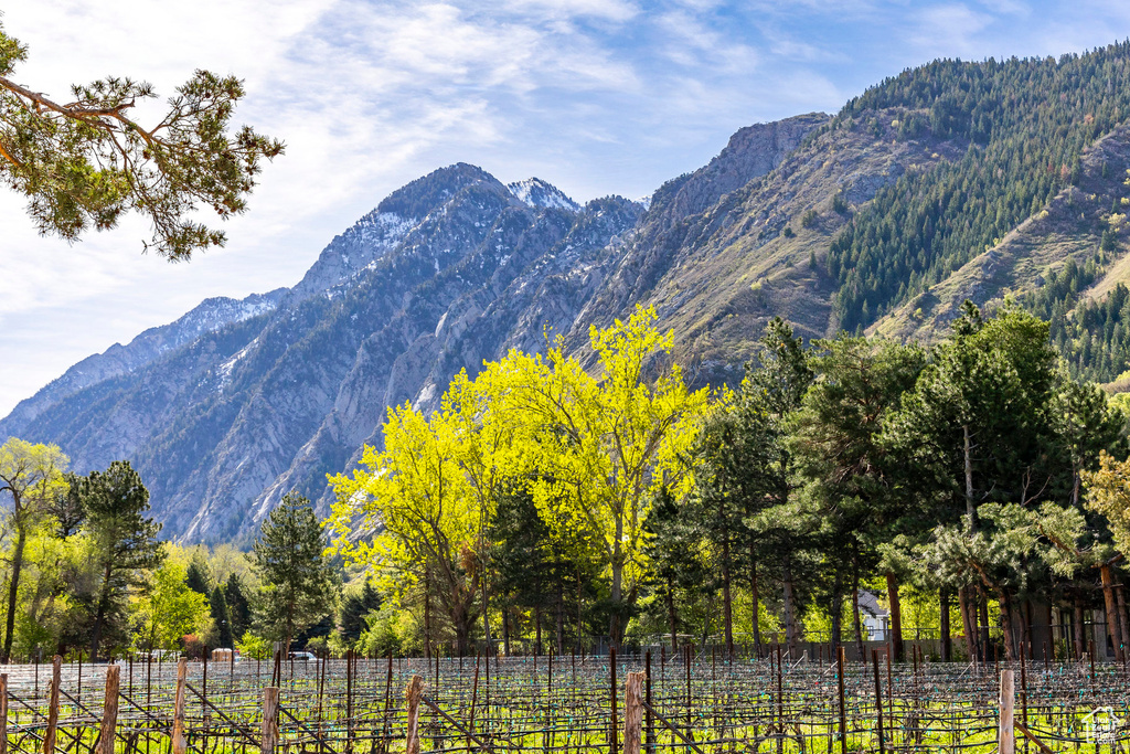 Property view of mountains