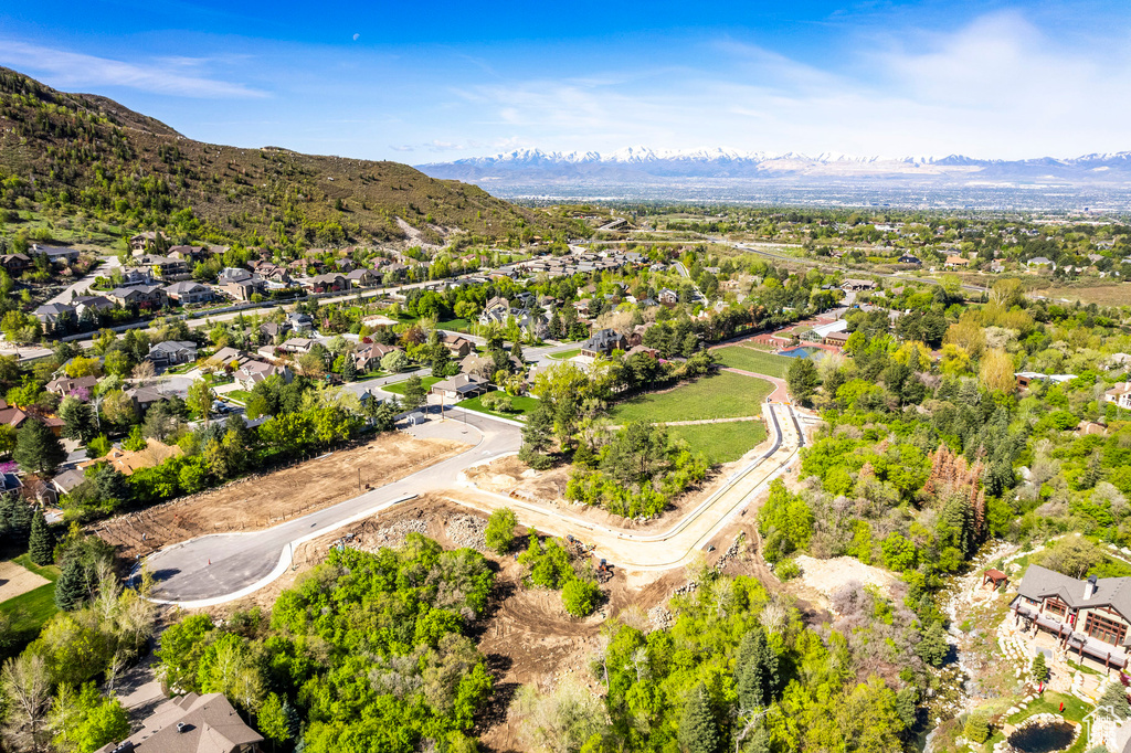 Aerial view with a mountain view