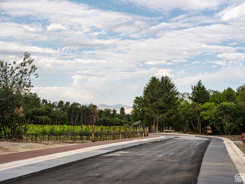 View of road