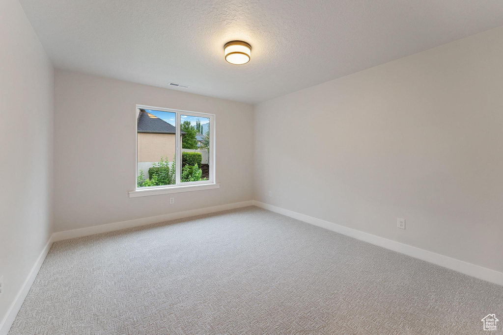 Unfurnished room with light carpet