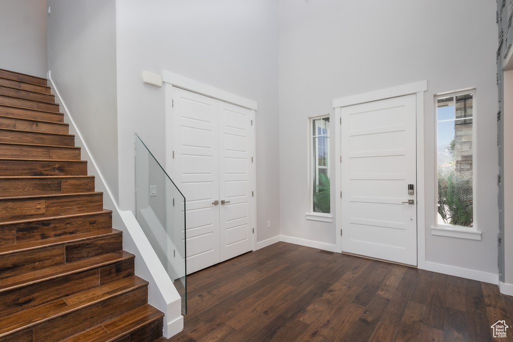 Entrance foyer with a high ceiling, a wealth of natural light, and dark hardwood / wood-style floors