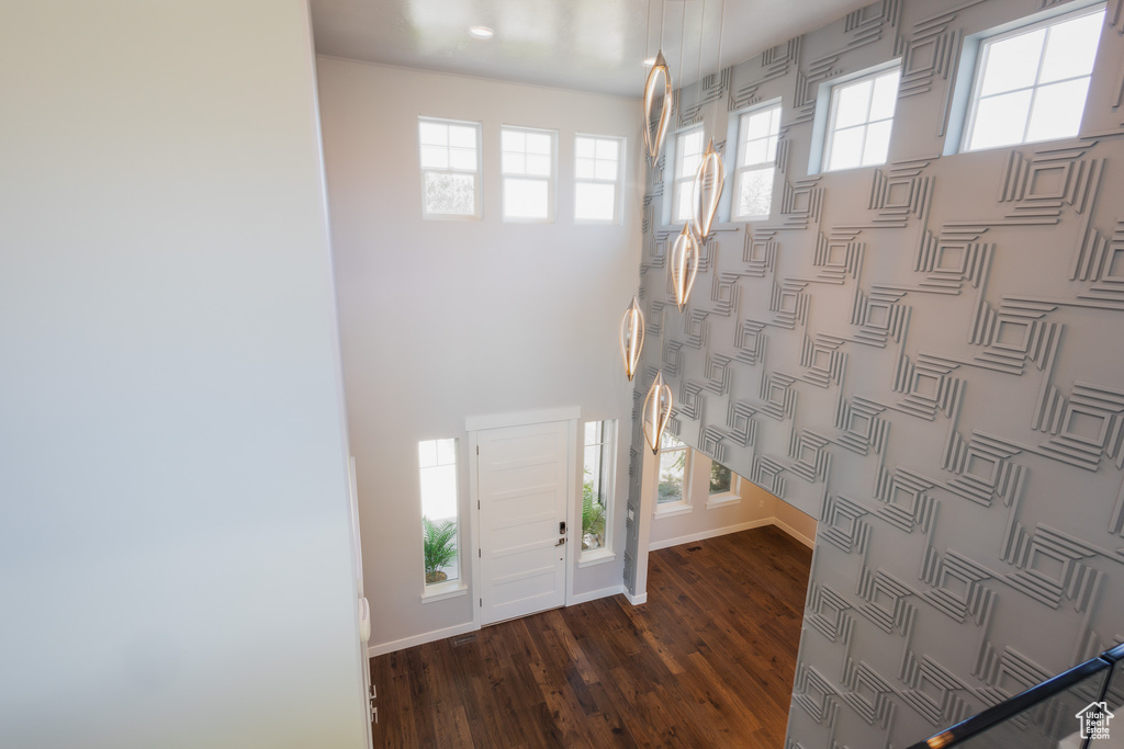 Foyer entrance featuring dark hardwood / wood-style flooring and a wealth of natural light