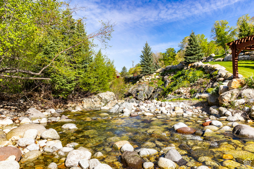 View of local wilderness