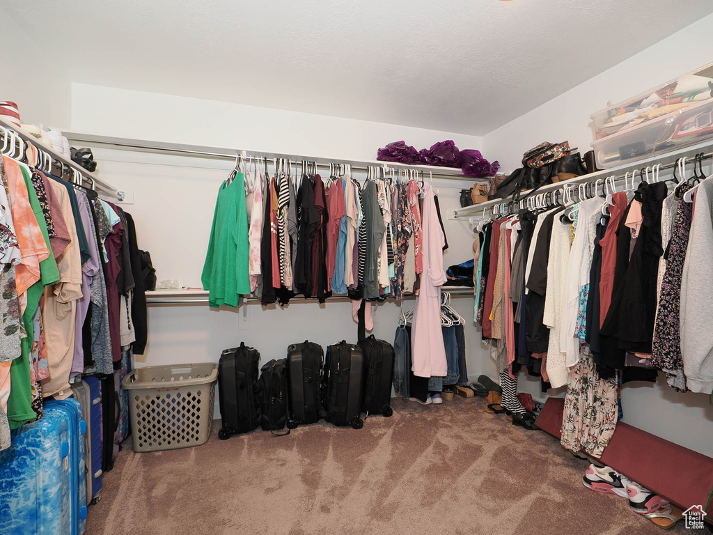 Spacious closet with carpet