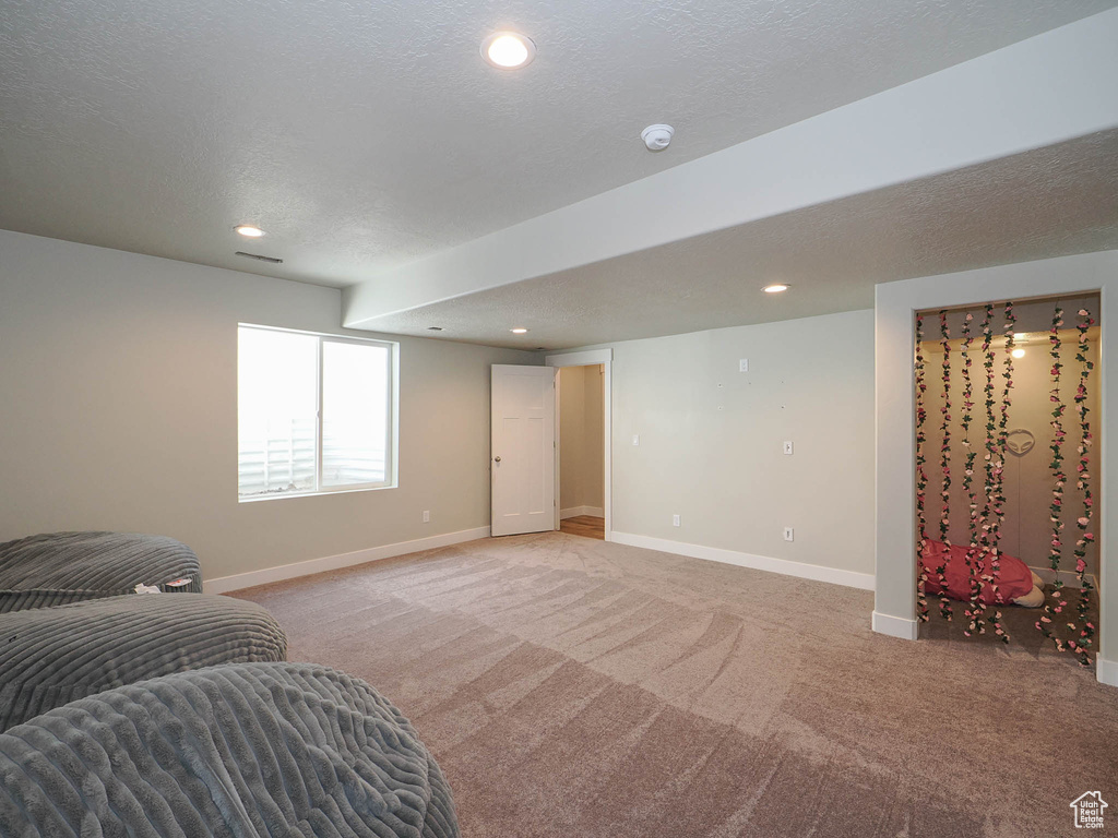 Carpeted living room featuring a textured ceiling