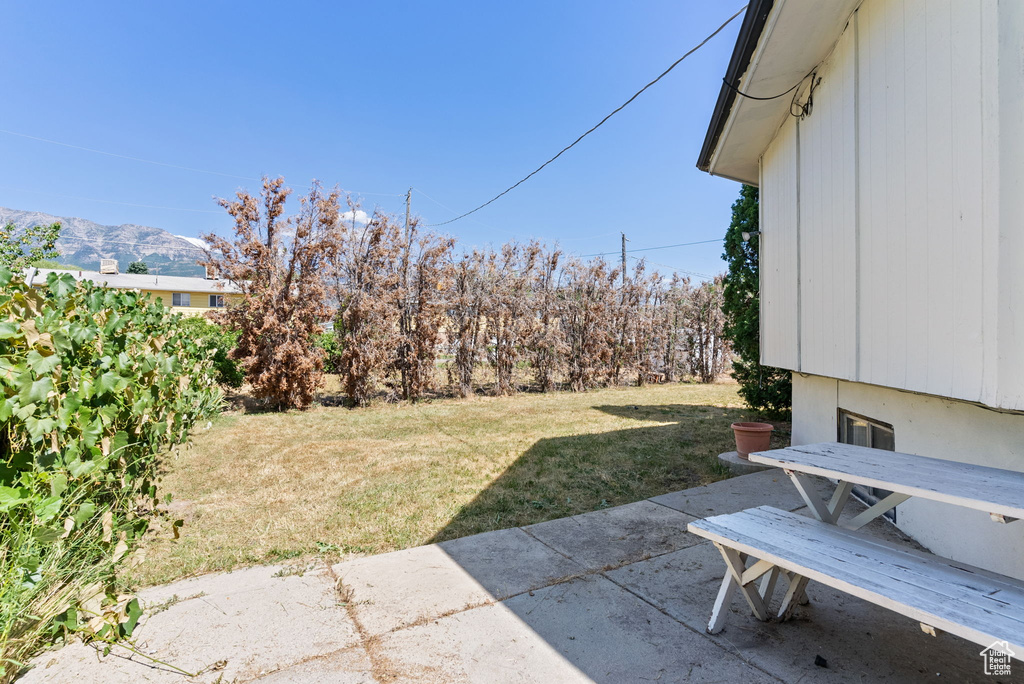 View of yard with a patio area and a mountain view