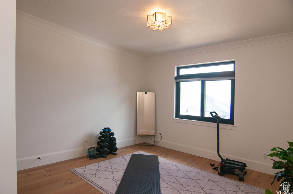 Workout room with a wealth of natural light, hardwood / wood-style flooring, and crown molding